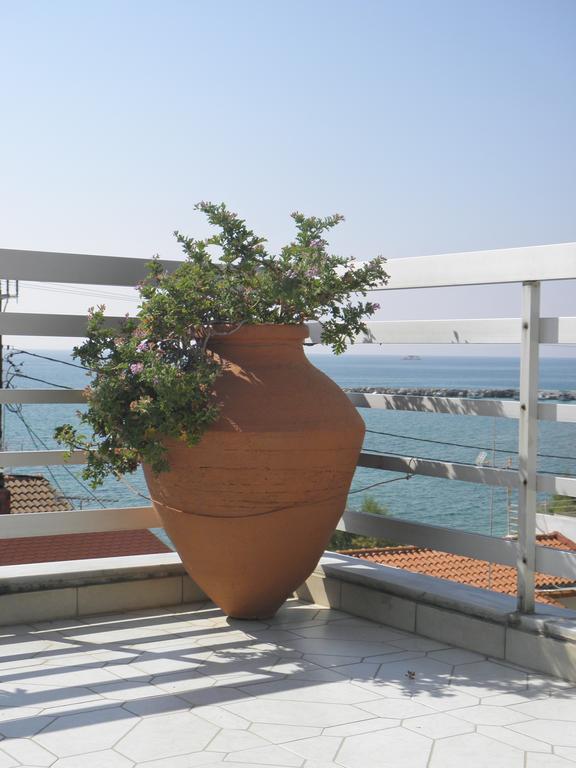Hotel Venetia Ireo  Dış mekan fotoğraf