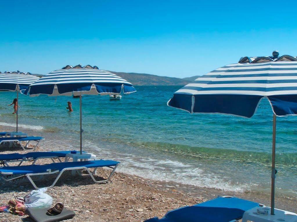 Hotel Venetia Ireo  Dış mekan fotoğraf